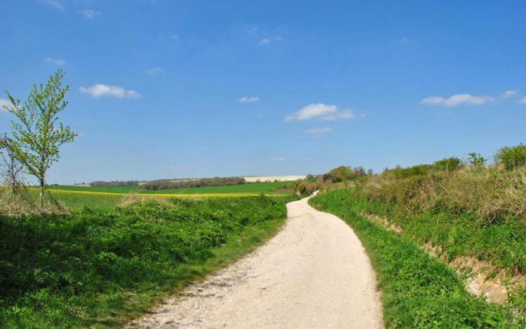 The Run, West Lavant Чічестер Екстер'єр фото
